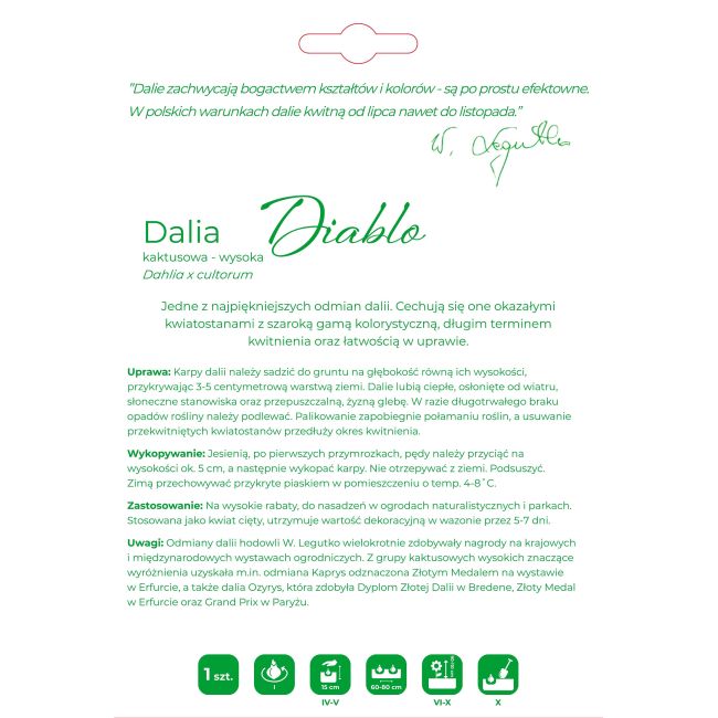 Dalia Diablo czerwona 1szt. - Cebule i Kłącza - W. Legutko