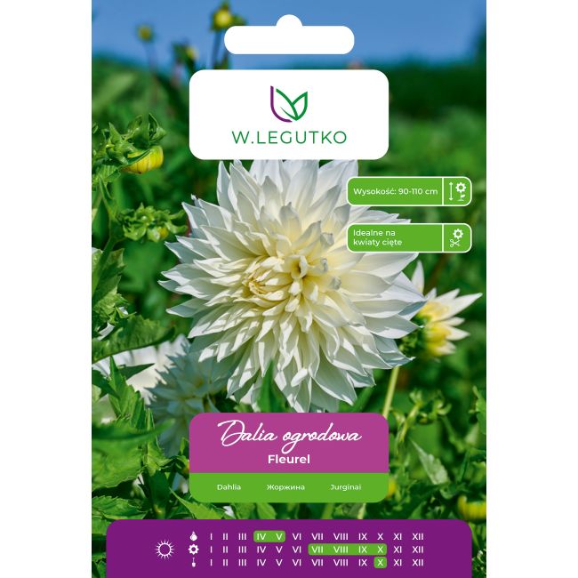 Dalia Fleurel biała 1szt. - Cebule i Kłącza - W. Legutko