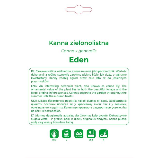 Kanna Eden różowa 1szt. - Cebule i Kłącza - W. Legutko