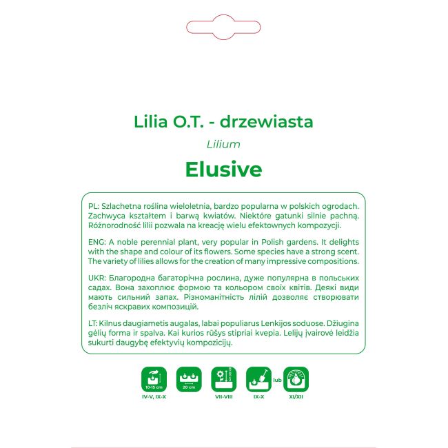 Lilia Elusive żółto-różowa 1szt. - Cebule i Kłącza - W. Legutko