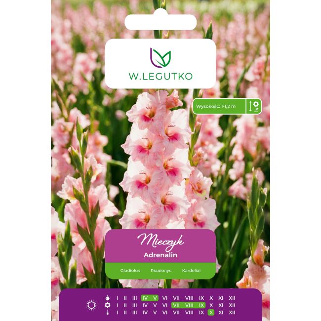 Mieczyk Adrenalin ciemnołososiowy 5szt. - Cebule i Kłącza - W. Legutko