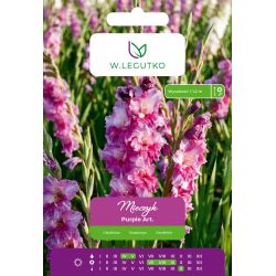 Mieczyk Purple Art. fioletowy 5szt. - Cebule i Kłącza - W. Legutko