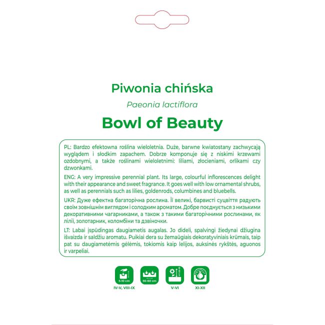 Piwonia Bowl of Beauty różowa 1szt. - Cebule i Kłącza - W. Legutko