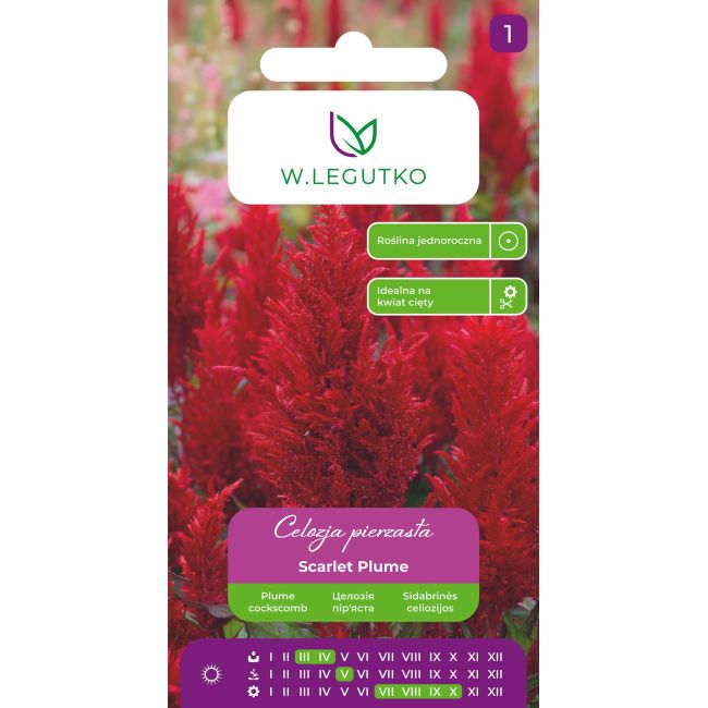 Celozja pierzasta Scarlet Plume czerwona 0,3g - Nasiona - W. Legutko