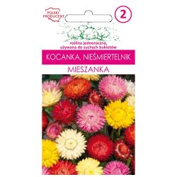 Kocanki, Nieśmiertelnik mieszanka 1g - Nasiona - W. Legutko