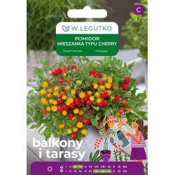 Pomidor mieszanka odmian typu cherry 0,3g na balkon i taras - Nasiona - W. Legutko