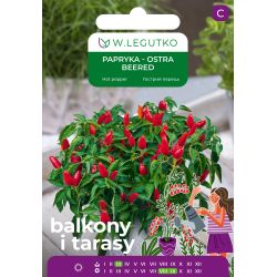 Papryka Beered czerwona 0,15g na balkon i taras - Nasiona - W. Legutko