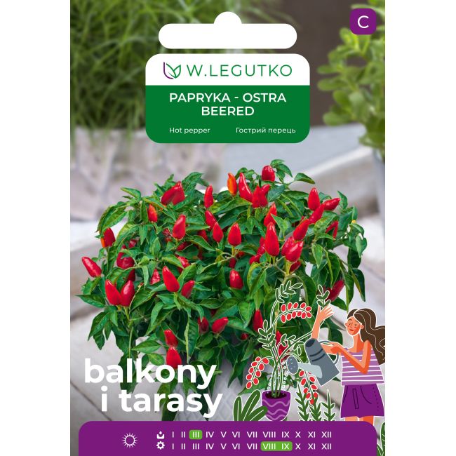 Papryka Beered czerwona 0,15g na balkon i taras - Nasiona - W. Legutko