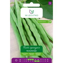 Fasola zwykła Neckarkönigin 10g - Nasiona - W. Legutko