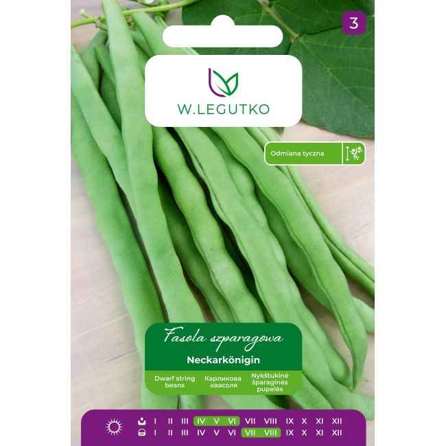 Fasola zwykła Neckarkönigin 10g - Nasiona - W. Legutko