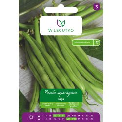 Fasola zwykła Jaga 40g - Nasiona - W. Legutko