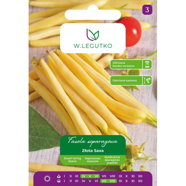 Fasola zwykła Złota Saxa 40g - Nasiona - W. Legutko