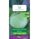 Kapusta głowiasta Brunświcka 2g - Nasiona - W. Legutko
