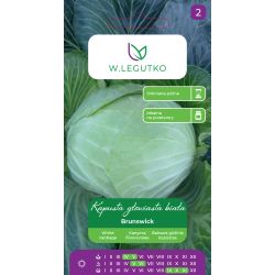 Kapusta głowiasta Brunświcka 2g - Nasiona - W. Legutko