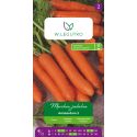 Marchew Amsterdam 2 6g - Nasiona - W. Legutko