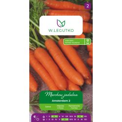 Marchew Amsterdam 2 6g - Nasiona - W. Legutko