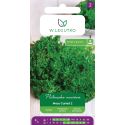 Pietruszka Moss Curled 2 5g - Nasiona - W. Legutko