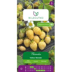 Poziomka Yellow Wonder 0.10g - Nasiona - W. Legutko