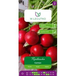 Rzodkiewka Carmen 10g - Nasiona - W. Legutko
