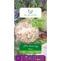 Seler korzeniowy Bruno 1.20g - Rozsady i sadzonki - W. Legutko