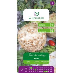 Seler korzeniowy Bruno 1.20g - Nasiona - W. Legutko