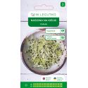 Nasiona na kiełki cebula 10g - Nasiona - W. Legutko