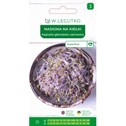 Nasiona na kiełki kapusta gł. czerwona 10g - Nasiona - W. Legutko