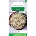 Nasiona na kiełki lucerna 20g - Nasiona - W. Legutko