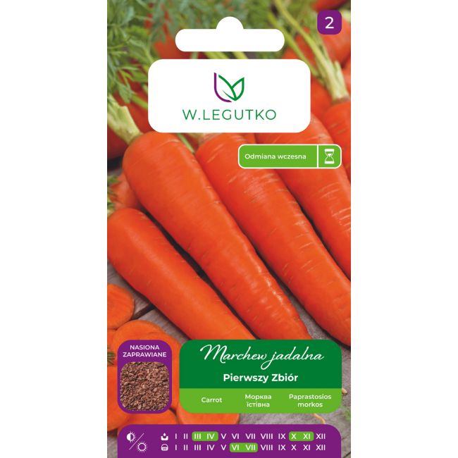 Marchew Pierwszy Zbiór 5g nasiona zaprawiane - Nasiona - W. Legutko