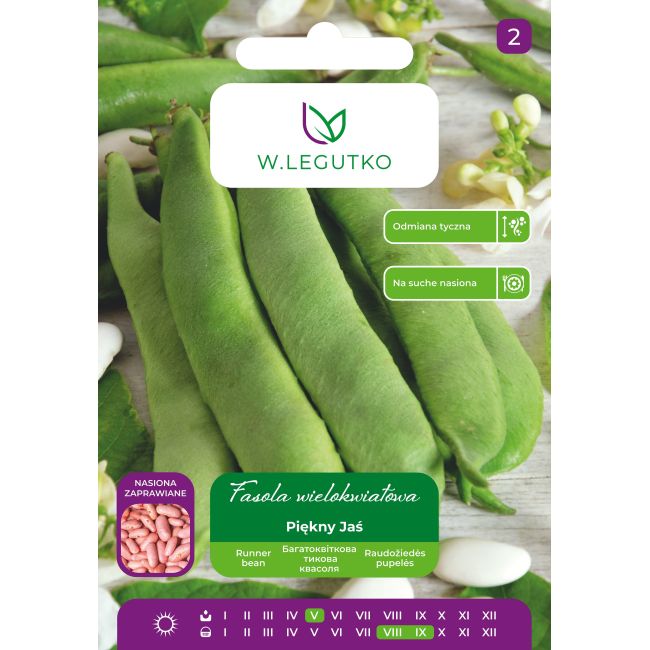 Fasola wielokwiatowa Piękny Jaś 30g - Nasiona - W. Legutko