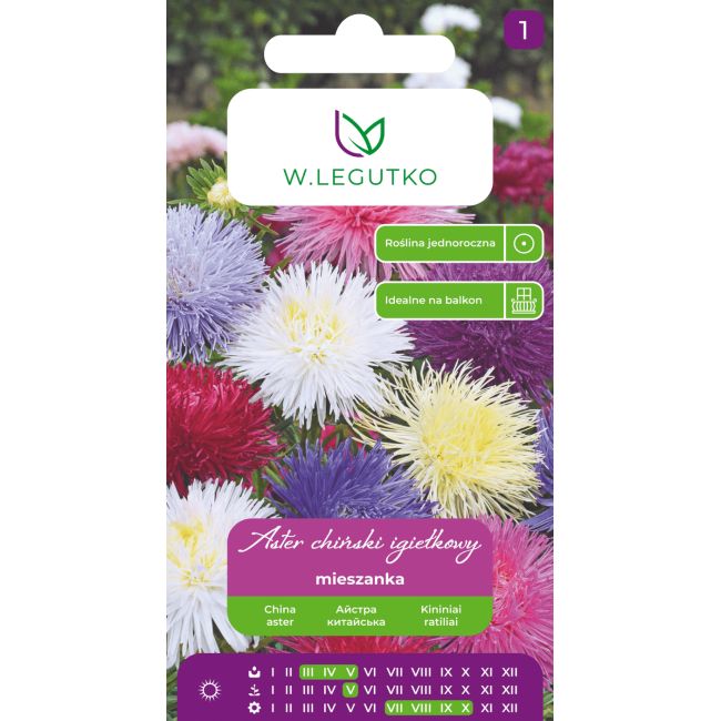 Aster chiński igiełkowy mieszanka 1.25g - Nasiona - W. Legutko