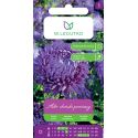 Aster chiński peoniowy fioletowy 1g - Nasiona - W. Legutko