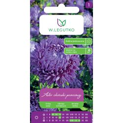 Aster chiński peoniowy fioletowy 1g - Nasiona - W. Legutko