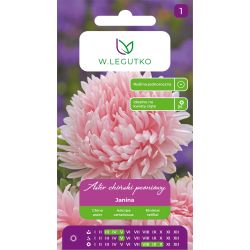 Aster chiński Janina peoniowy łososiowy 0.50g - Nasiona - W. Legutko