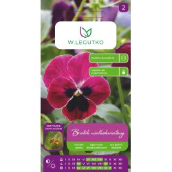 Bratek Claret karminoworóżowy 0.50g - Nasiona - W. Legutko