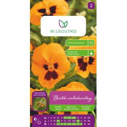 Bratek Orange mit Auge pomarańczowy z czarnym 0.30g - Nasiona - W. Legutko