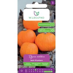 Dynia ozdobna Jack O'Lantern pomarańczowa 2g - Nasiona - W. Legutko
