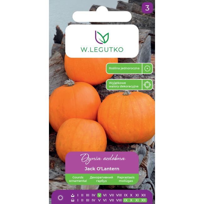 Dynia ozdobna Jack O'Lantern pomarańczowa 2g - Nasiona - W. Legutko