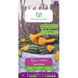 Dynia ozdobna Small Spoon dwubarwna 1g - Nasiona - W. Legutko