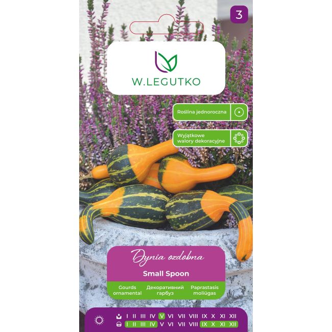Dynia ozdobna Small Spoon dwubarwna 1g - Nasiona - W. Legutko