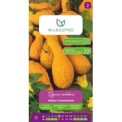 Dynia ozdobna Yellow Croockneck złotożółta 1g - Nasiona - W. Legutko