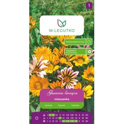 Gazania lśniąca mieszanka 0.30g - Nasiona - W. Legutko
