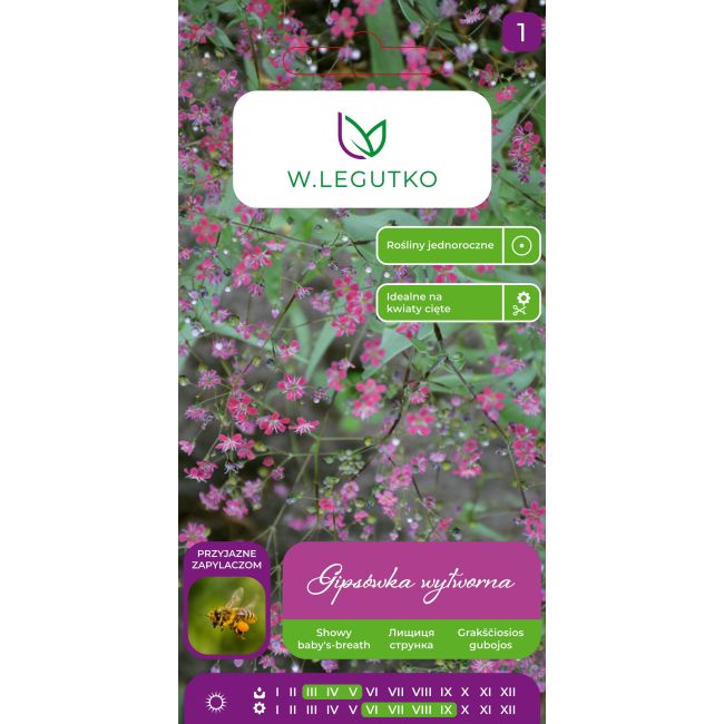Gipsówka wytworna różowa 1g - Nasiona - W. Legutko