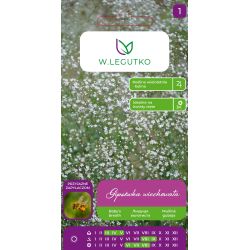 Gipsówka wiechowata biała 1g - Nasiona - W. Legutko