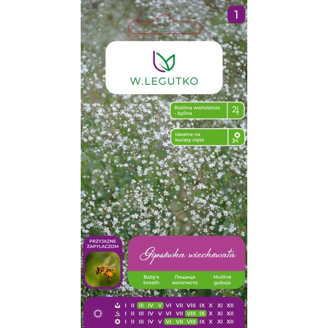 Gipsówka wiechowata biała 1g - Nasiona - W. Legutko