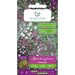 Gipsówka wytworna mieszanka 1g - Nasiona - W. Legutko