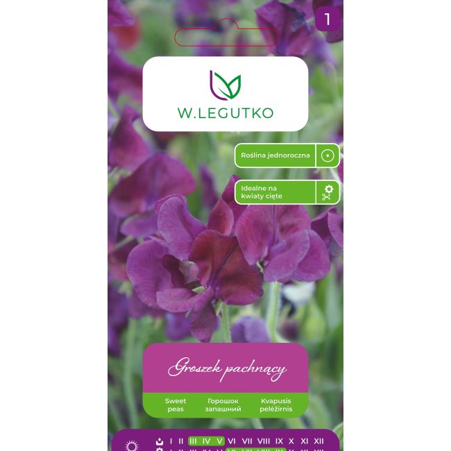 Groszek pachnący wiśniowo-fioletowy 3g - Nasiona - W. Legutko
