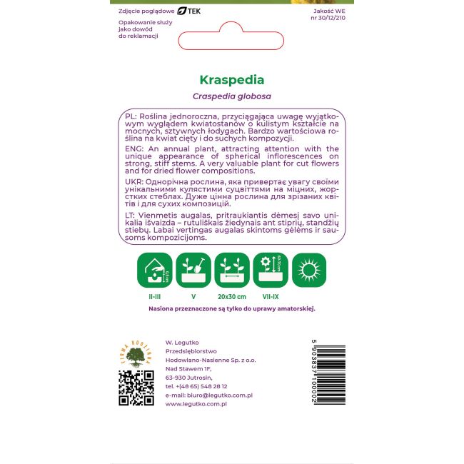 Kraspedia żółta 0.10g - Nasiona - W. Legutko