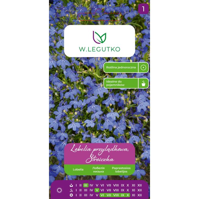Lobelia przylądkowa, Stroiczka niebieskia 0.20g - Nasiona - W. Legutko