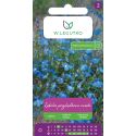Lobelia przylądkowa zwisła niebieska 0.20g - Nasiona - W. Legutko